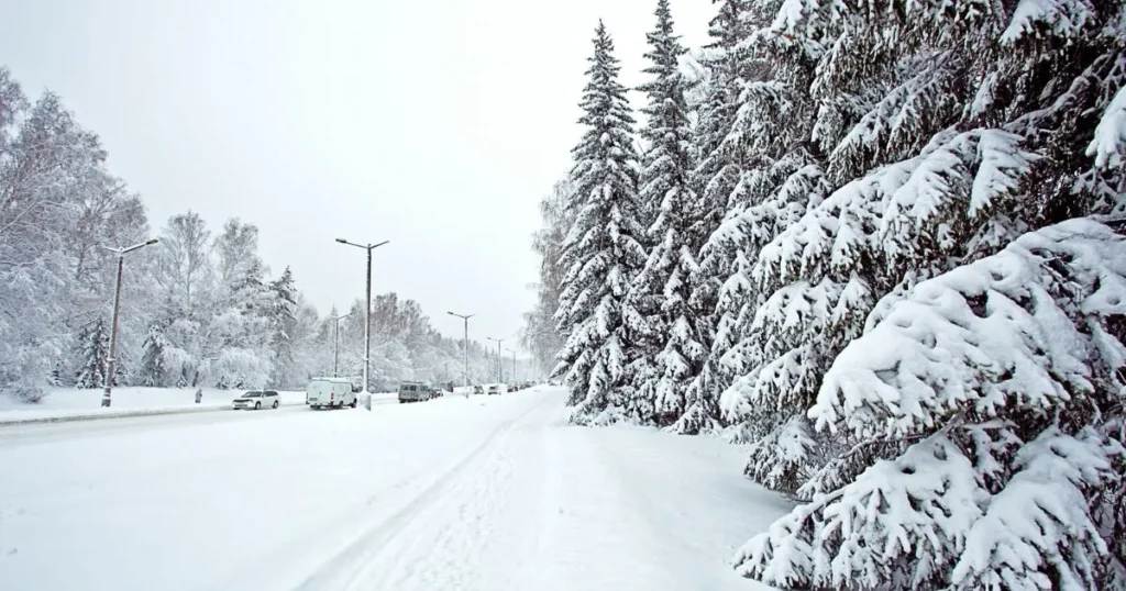 Snowy neighborhood