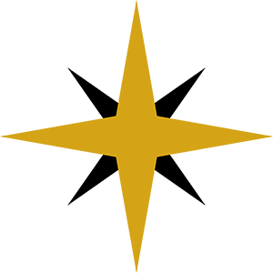 NaVion Logo